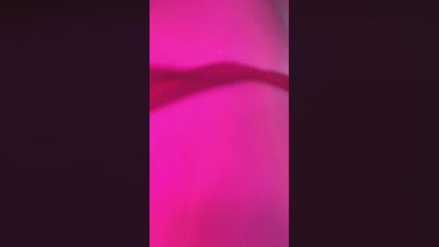 Novinhahaze  05-02-2023